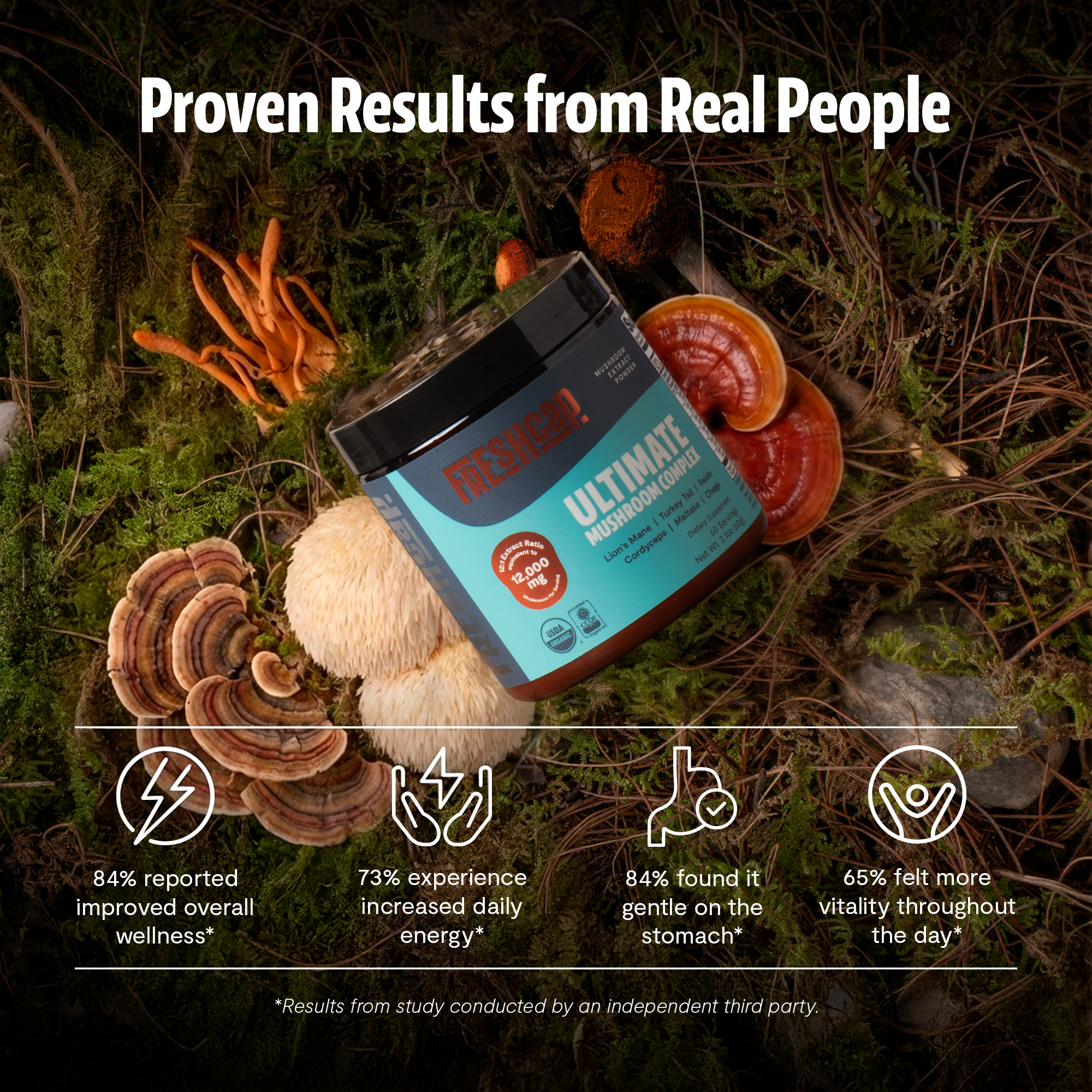 Organic Mushroom Extract Powder Blend